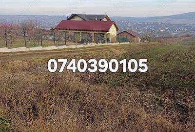 Teren 1950 mp Sorogari - 4