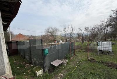Casă cu 3 camere cu Teren 2000 Mp în Prodănești - 14