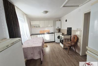 Casa de vanzare in Salistea -800 mp teren - 1