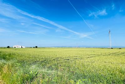 Teren agricol extravilan de 74615 mp, în Reci - 3