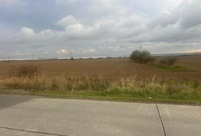 Teren de vanzare - 22800mp  - Parc Industrial km 23 - 8