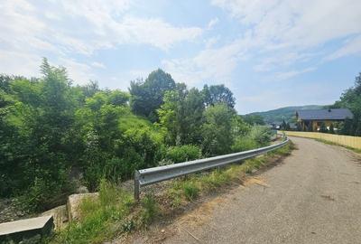Teren intravilan lângă pădure – 1659 mp,  C.U. P+2E, Vărbilău - 5