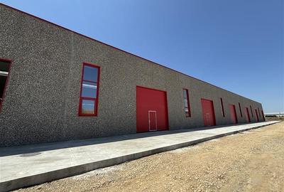 Inchiriere depozit/spatiu industrial/hala Chitila - Rudeni, ILFOV - 5