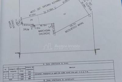 Teren extravilan 10000 mp, com Panatau - 6