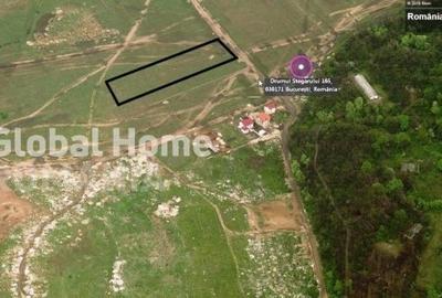 Teren Intravilan 5000 MP | Padurea Baneasa | Front stradal 25 MP | - 1