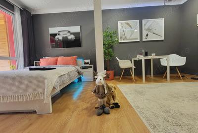 Studio Lux-La cheie, Sinaia, Parcare inclusa, Casa de vacanta - 6