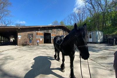 Casă cu Teren 1537099 Mp în Herneacova - 12