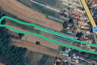 Casă individuală cu 5 camere cu Canalizare în Pleșoiu - 3