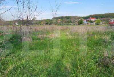 Teren de 6659 mp, în Nisipoasa - 5