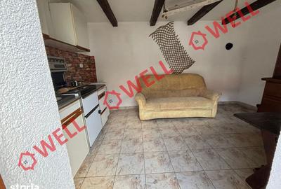 Casă cu Teren 1660 Mp în Boroșneu Mare - 20