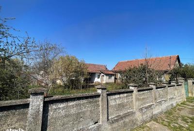 Casă cu 3 camere în Sântandrei - 1