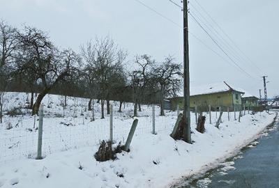 Casa cu Anexe, Gradina + 2Ha Terenuri Zalau, Salaj - 5