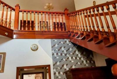 Vila impunatoare in Cartierul Functionarilor - 12