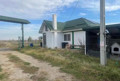Teren de 370000 mp, în Pietroasele - 5