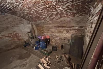 Casa pe malul Crisului - 172 mp - Ultracentral - 16