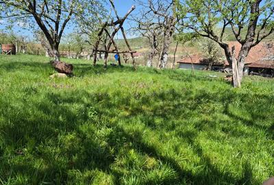 Casa ?araneasca autentica, teren generos ?i multe facilita?i. - 8