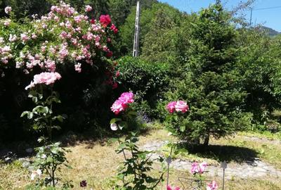 Apartament in casa tip vila, cu curte proprie