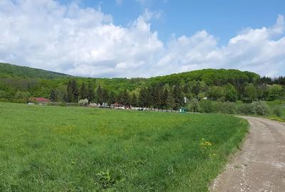 Teren 2300+1600 mp cu deschidere 16 m, Negresti, Jud. Neamt
