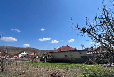 Spațiu comercial, în Telești - 3