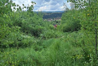 Teren intravilan de 12.147 m² de vânzare în Sovata, pe strada Răchitei - 8