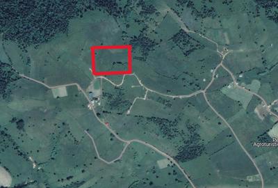 Teren de 4460 mp, în Măguri - 5