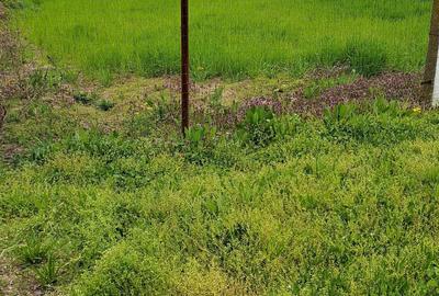 Spațiu comercial, în Ogrezeni - 6