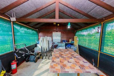 Casă cu 4 camere cu Piscina în Bozânta Mare - 11