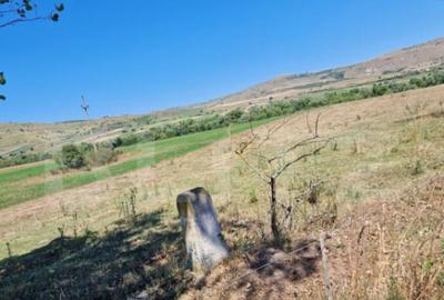 Teren extravilan 5008 mp, in Iara - 2