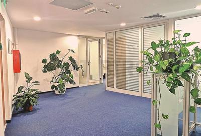 Birou, de 310 mp, în Universitate - 11