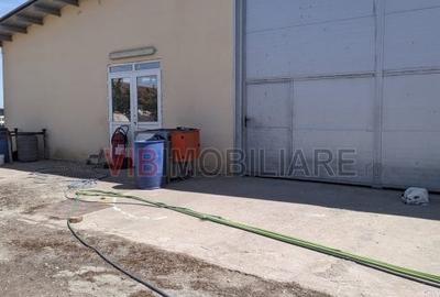 Ferma Zootehnică Mixtă – Cernateaz, Timiș | 9,5 ha | Hale Moderne, Casă 2019, Ut - 7