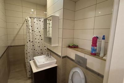 Apartament cu 2 camere decomandat în Tunari - 8