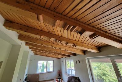 Casă individuală cu 5 camere cu Teren 1634 Mp în Gurișoara - 11