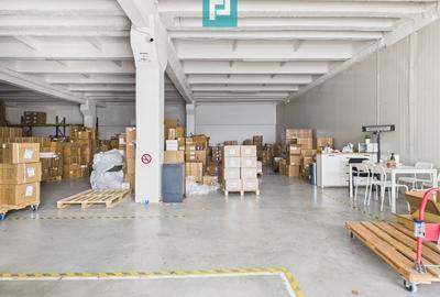 Centru Logistic – Platformă Industrială Oradea - 8