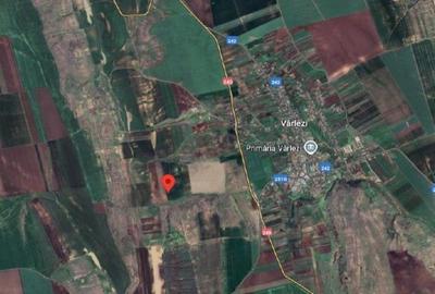 Teren de 6000 mp, în Vârlezi - 2