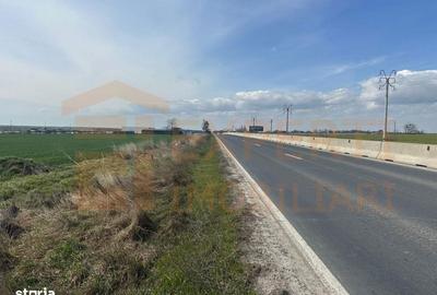 Teren de 10000 mp, în Valu lui Traian - 5