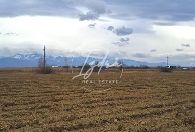 Teren extravilan Avrig - 2