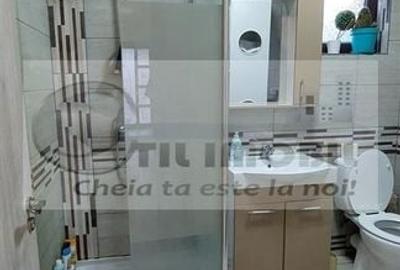 CASA TIP TRIPLEX ZONA  BUCIUM VISANI 114MP  MOBILAT SI UTILAT 149500 € - 19