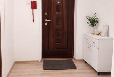 Apartament 2 camere Mobilat complet Pantelimon Metrou Costin Georgian 14 minute - 5