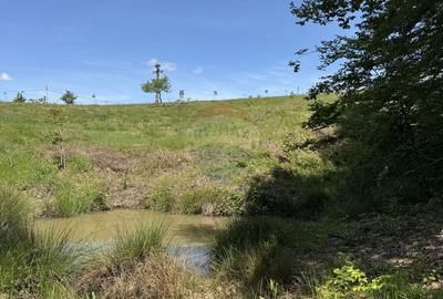 Teren agricol intravilan de 55600 mp, în Codru Butesii - 15