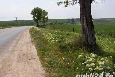 Teren de 45000 mp, în Central