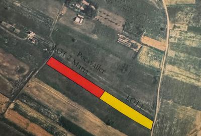 Teren de 5686 mp, în Șimleu Silvaniei - 4