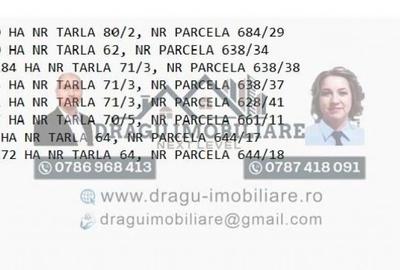 Teren agricol Munteni/Galati / 7.5 ha - 1