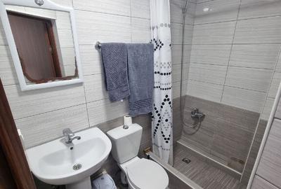 Garsoniera de inchiriat in zona Lujerului - 4