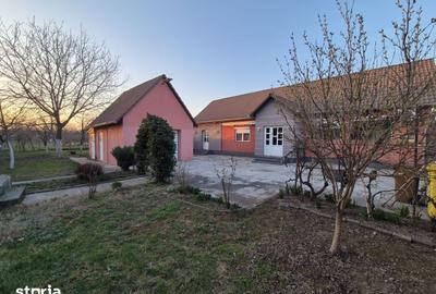Casă cu 3 camere cu Canalizare în Micălaca - 9