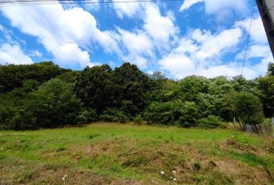 Teren de 2100 mp, în Drăganu - 6