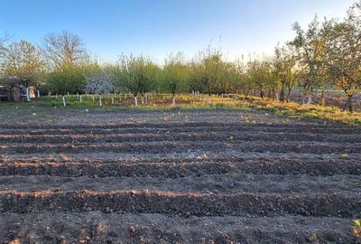 Casă cu 4 camere în Berechiu - 5