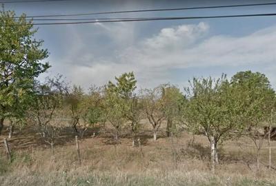 Teren de 3696 mp, în Sebeș - 3