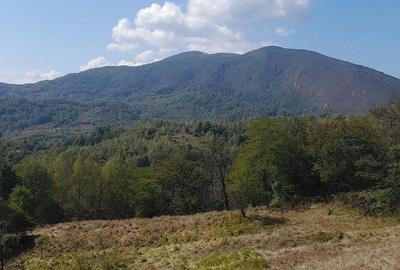 Teren de 14000 mp, în Central - 6