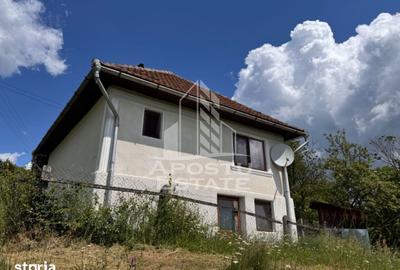 Casă cu 4 camere cu Teren 3534 Mp în Blăjeni