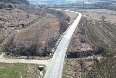 Teren de 2000 mp, în Moșna